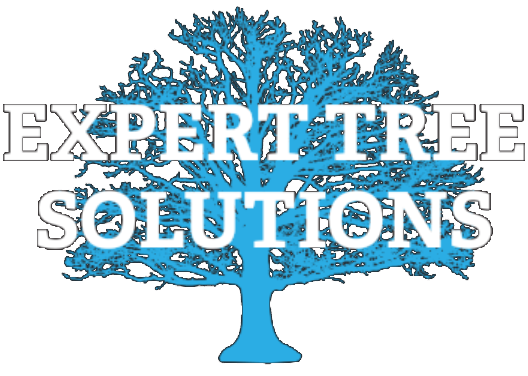 Tree Service Crew Wadsworth OH